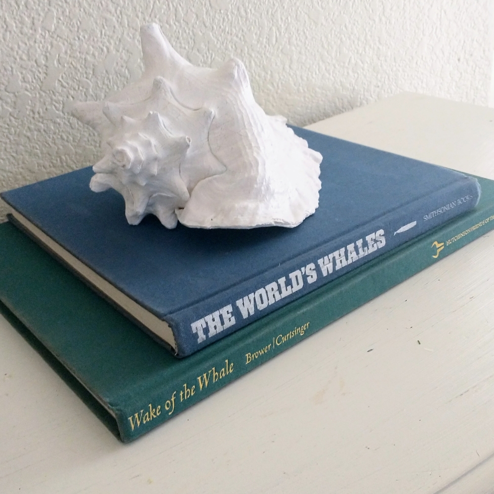 Vintage coffee table books, set of two, ocean hard cover whale photography books